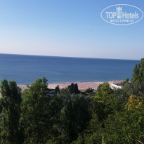 фото из отзыва ID 1388647