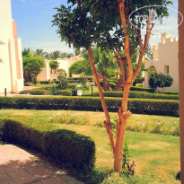 фото из отзыва ID 1388689