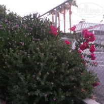 фото из отзыва ID 1388703