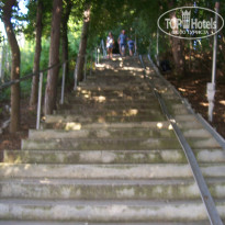 фото из отзыва ID 1388859