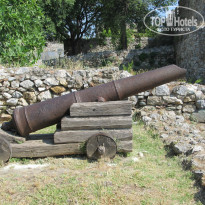 фото из отзыва ID 1383376