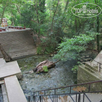 фото из отзыва ID 1383376