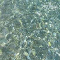 фото из отзыва ID 1383376