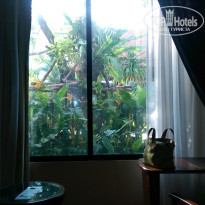 фото из отзыва ID 1388868