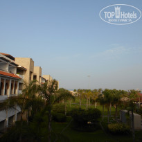 фото из отзыва ID 1389001