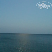 фото из отзыва ID 1389019