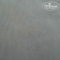 фото из отзыва ID 1389019