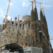 фото из отзыва ID 1389021