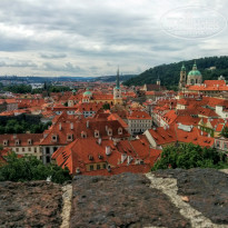 фото из отзыва ID 1389145