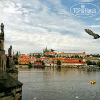 фото из отзыва ID 1389145