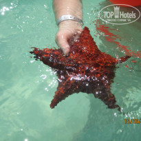 фото из отзыва ID 1389155