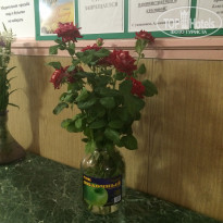 фото из отзыва ID 1389163