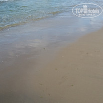 фото из отзыва ID 1389238