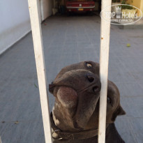 фото из отзыва ID 1389307