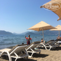 фото из отзыва ID 1389258