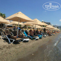 фото из отзыва ID 1389258