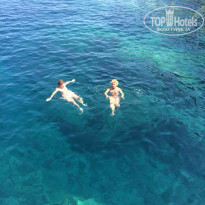 фото из отзыва ID 1389258