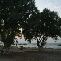 фото из отзыва ID 1389599