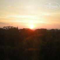 фото из отзыва ID 1389608