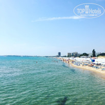 фото из отзыва ID 1389676