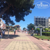 фото из отзыва ID 1389676