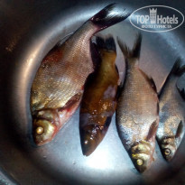 фото из отзыва ID 1389817