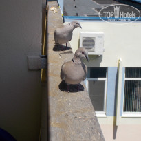 фото из отзыва ID 1389884