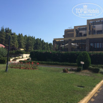 фото из отзыва ID 1389895