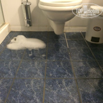 фото из отзыва ID 1389895