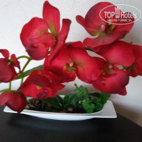 фото из отзыва ID 1389899