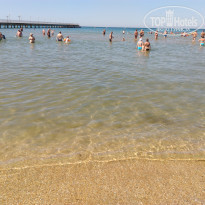 фото из отзыва ID 1389899