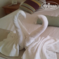 фото из отзыва ID 1389702