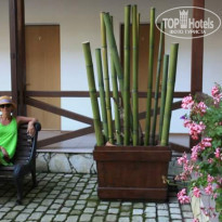 фото из отзыва ID 1389960