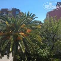 фото из отзыва ID 1389973