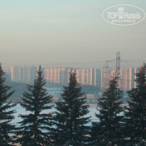 фото из отзыва ID 1387182