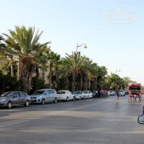 фото из отзыва ID 1386871