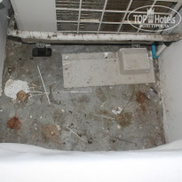 фото из отзыва ID 1387404