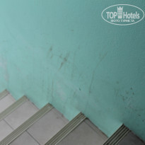 фото из отзыва ID 1387404