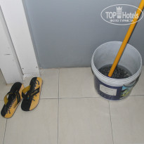 фото из отзыва ID 1387404