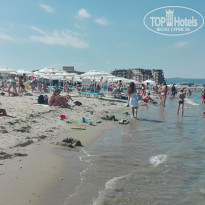 фото из отзыва ID 1383965