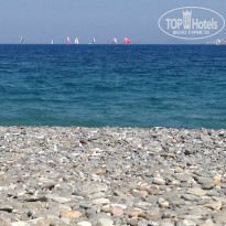 фото из отзыва ID 1382792