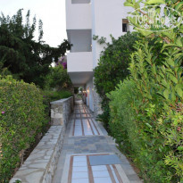 фото из отзыва ID 1382792