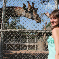 фото из отзыва ID 1380189