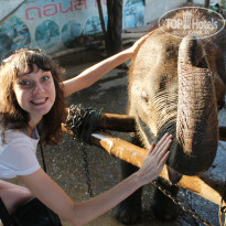 фото из отзыва ID 1380189