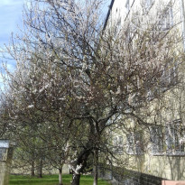 фото из отзыва ID 1383207