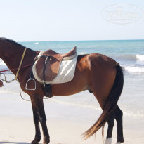 фото из отзыва ID 1383020