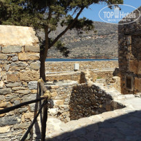 фото из отзыва ID 1384633