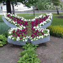 фото из отзыва ID 1383207