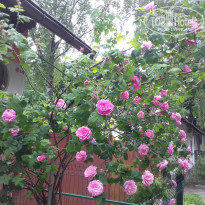 фото из отзыва ID 1383207