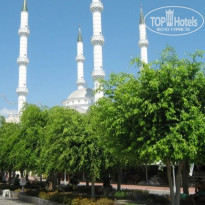 фото из отзыва ID 1387352